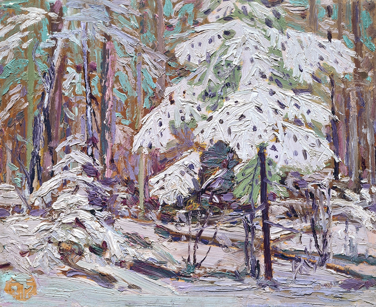 Snow on trees in a wood.