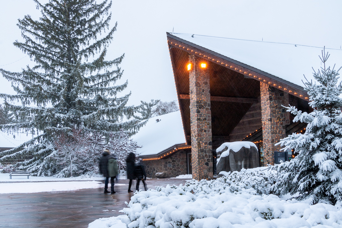 WinterCampaign_WEB-95