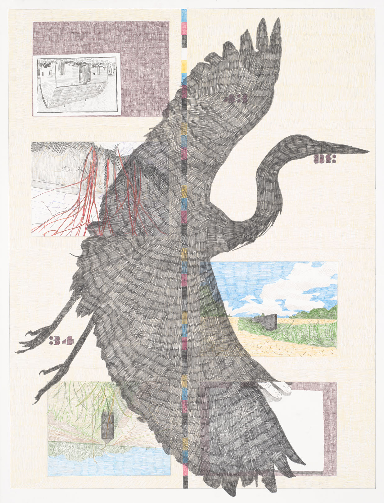 coloured pencil by Derek Sullivan