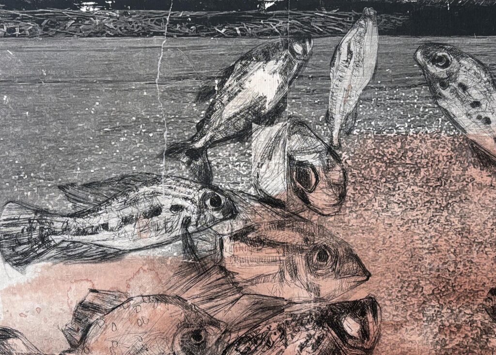 Sandra Brewster – Study for FISH – detail – 3730 A detail image of acrylic and photo-based gel transfer on wood artwork, representing multiple fish