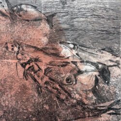 A detail image of acrylic and photo-based gel transfer on wood artwork, representing multiple fish