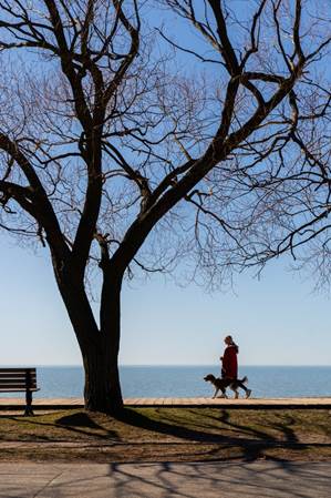 Woman with dog, walking along the beach