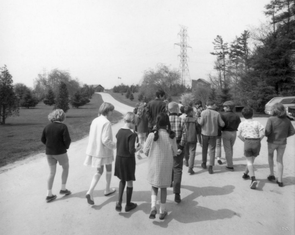 School Children at the McMichael in the 1970s Photograph in black and white of rear view of twenty or so children and one adult walking down a long driveway. There is grass and trees on either side of the driveway.